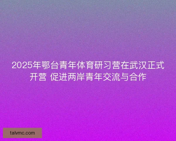 2025年鄂台青年体育研习营在武汉正式开营 促进两岸青年交流与合作